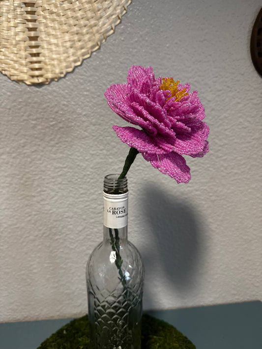 Single peony Lilac