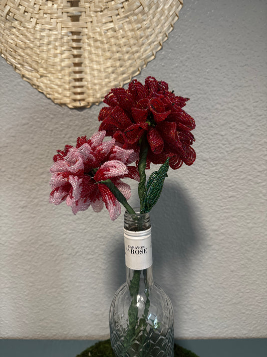 Dahlia Duo