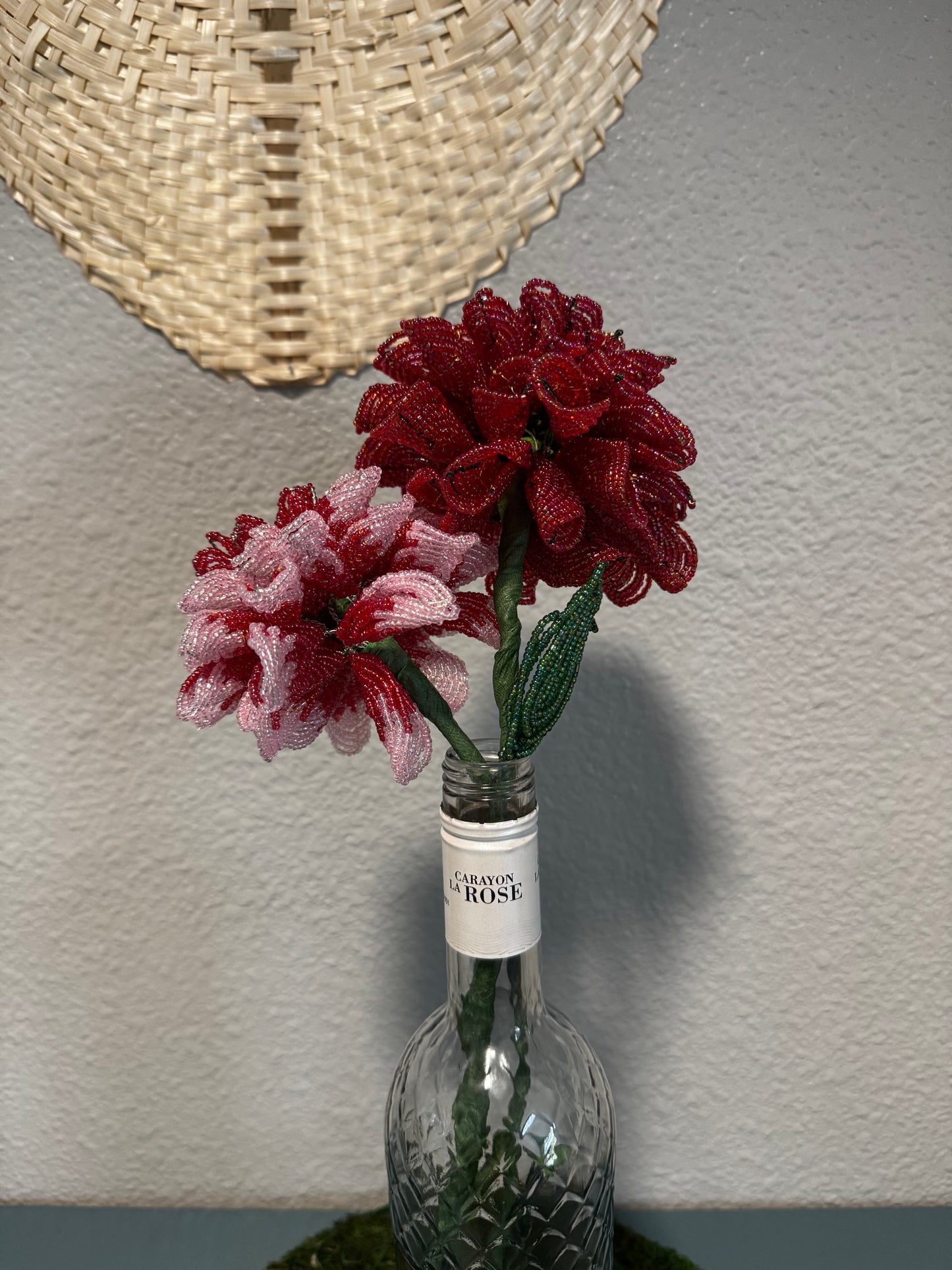 Dahlia Duo