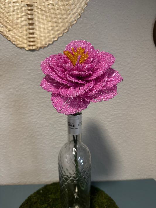 Single peony Lilac